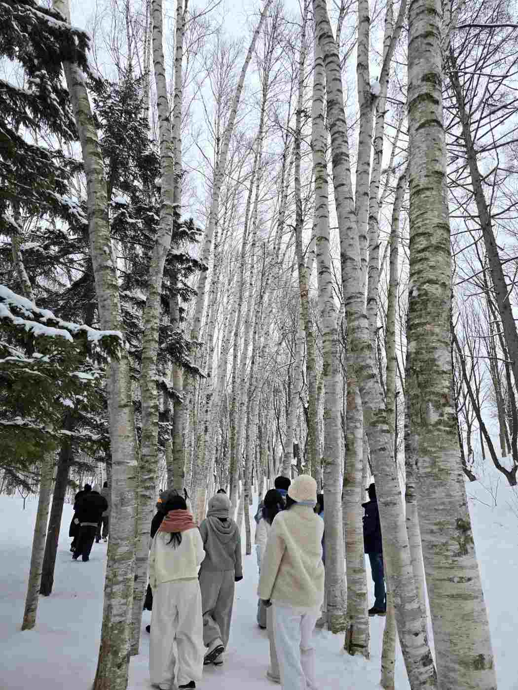 비에이의 주요 스팟