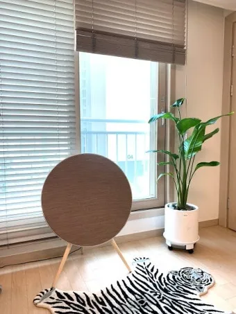 거실 큰화분 배치요령 물주기 바퀴받침 이동 어르신도 안전하게_8