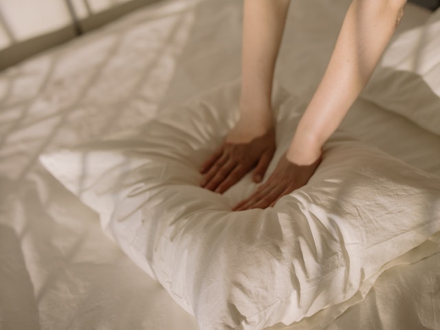 반려동물 주인을 위한 청소 팁: 반려동물과 함께 깔끔한 집 꾸미기