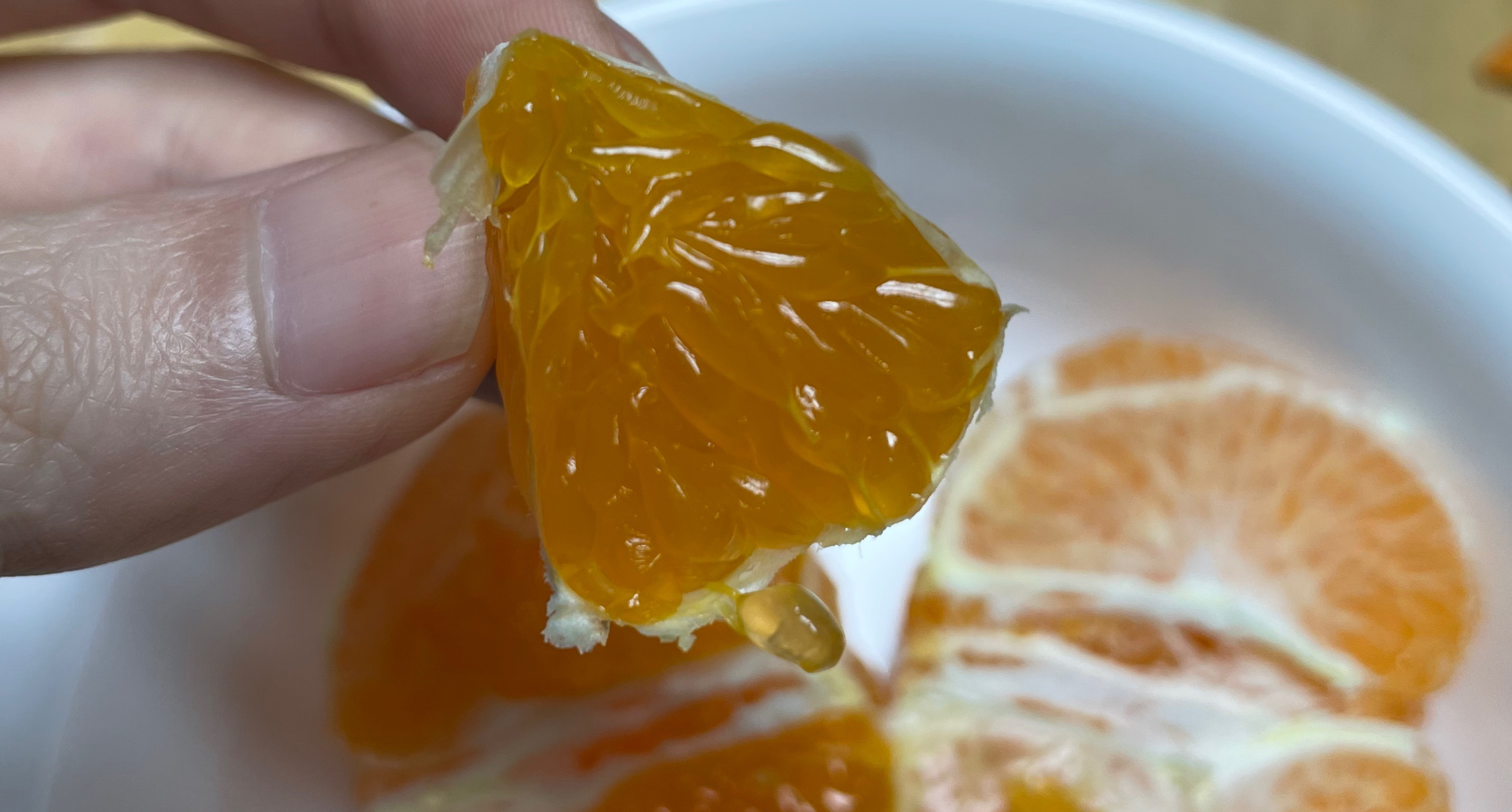 레드향 당도 높고, 과즙 풍부