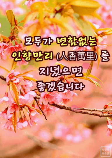 인간적인 향기와 따뜻한 인품을 지닌 사람에 대한 글귀 이미지