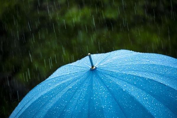 장마철 예상 기간