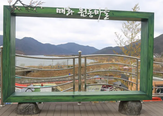 원동 매화마을