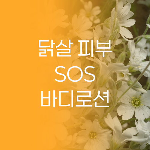 닭살 피부 SOS! 빌라쥬11팩토리 ..