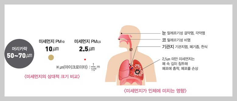 미세 먼지와 황사(1)