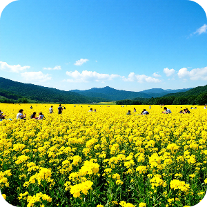 삼락생태공원 이미지