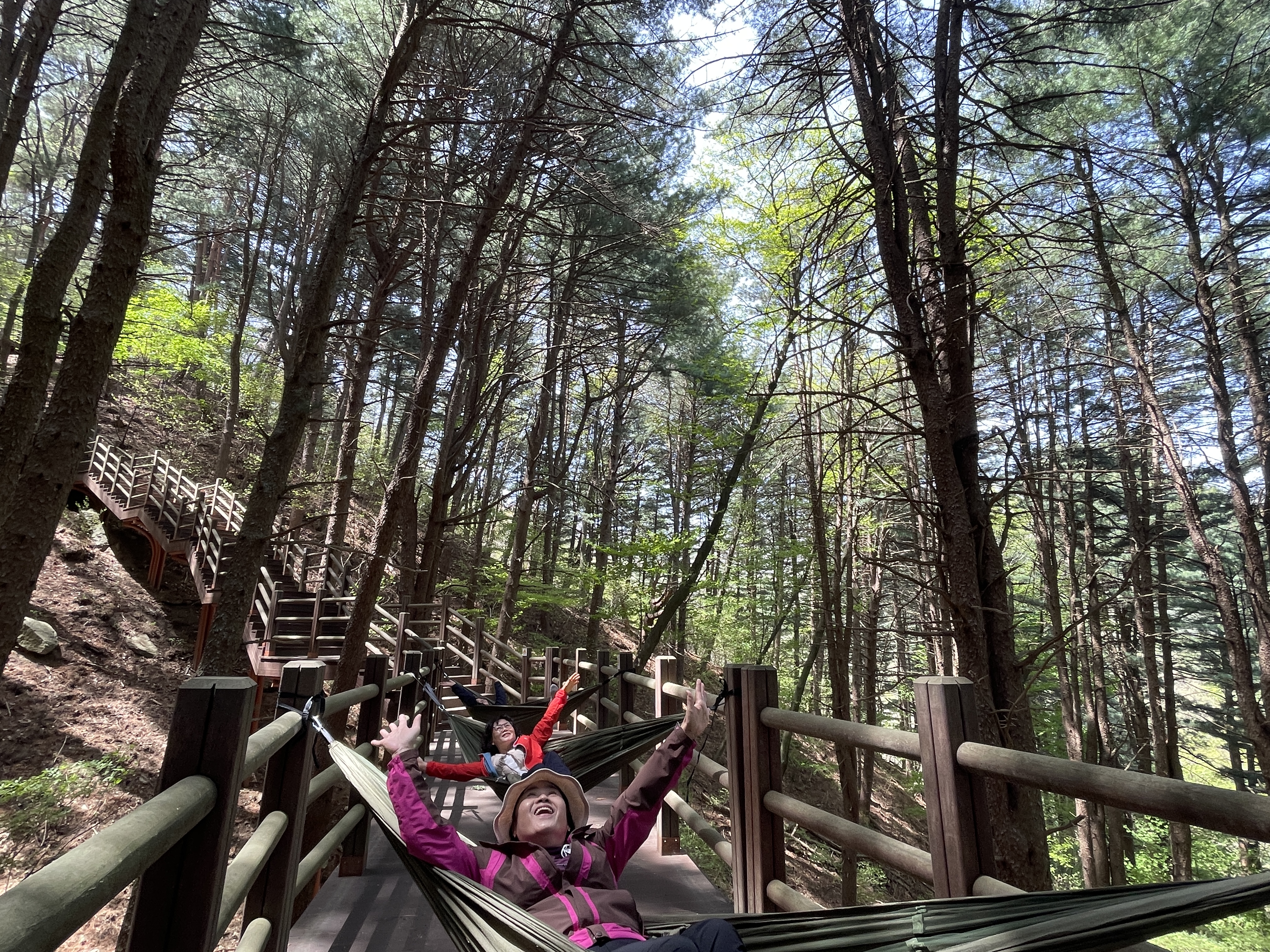 국립김천 치유의 숲 해먹체험