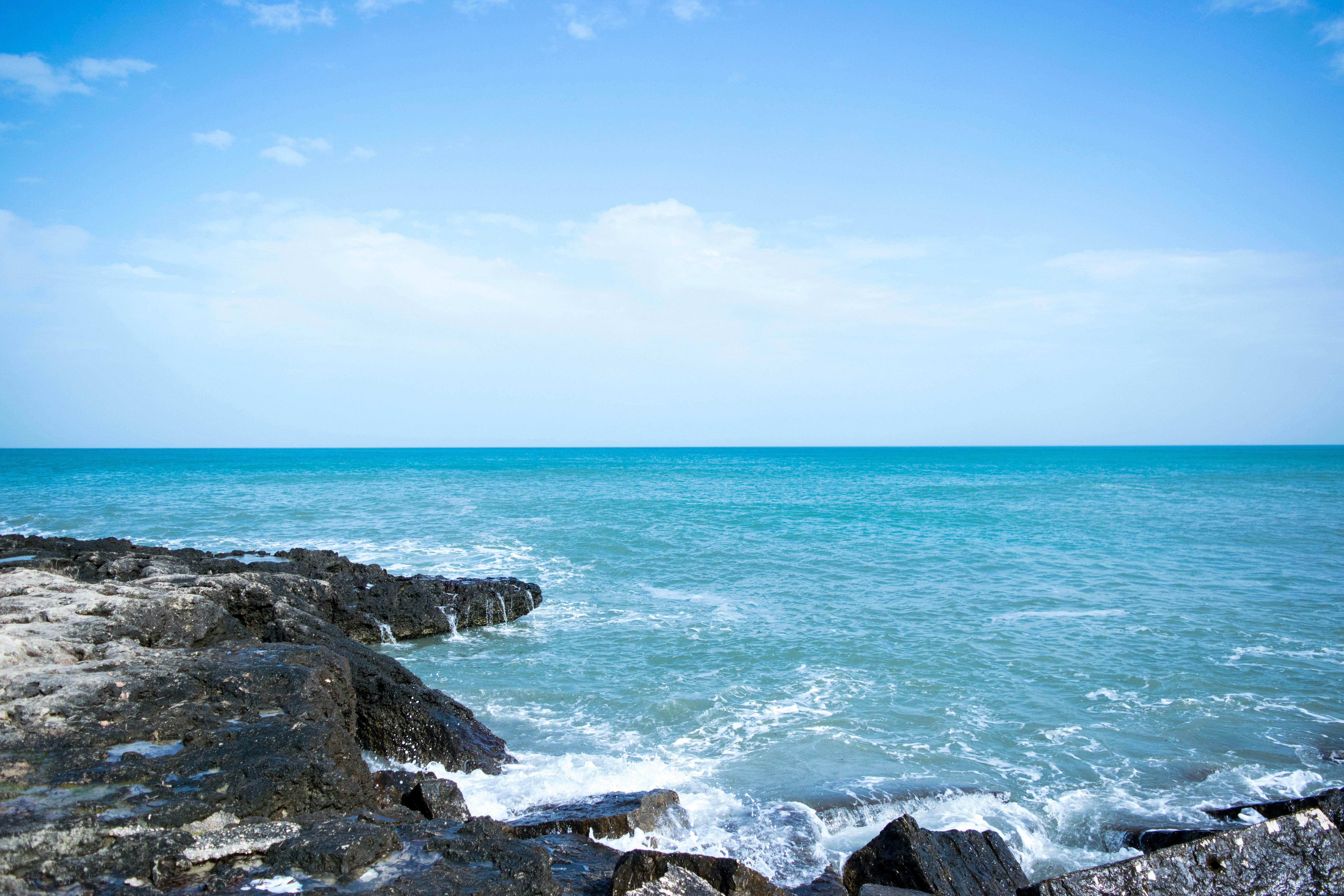 2025년 8월 20일 띠별 운세&amp;#44; 당신의 하루는 어떨까요?_1 쥐띠&amp;#44; 소띠&amp;#44; 호랑이띠&amp;#44; 토끼띠