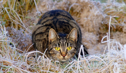 제품별 상세 분석 관련 사진