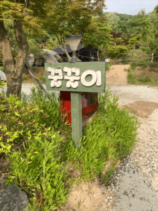 용인 단풍 숲 