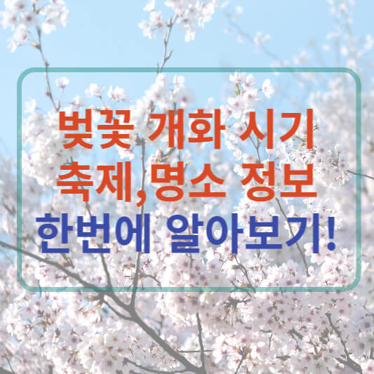 벚꽃 개화시기 2023&#44; 벚꽃 명소 확인