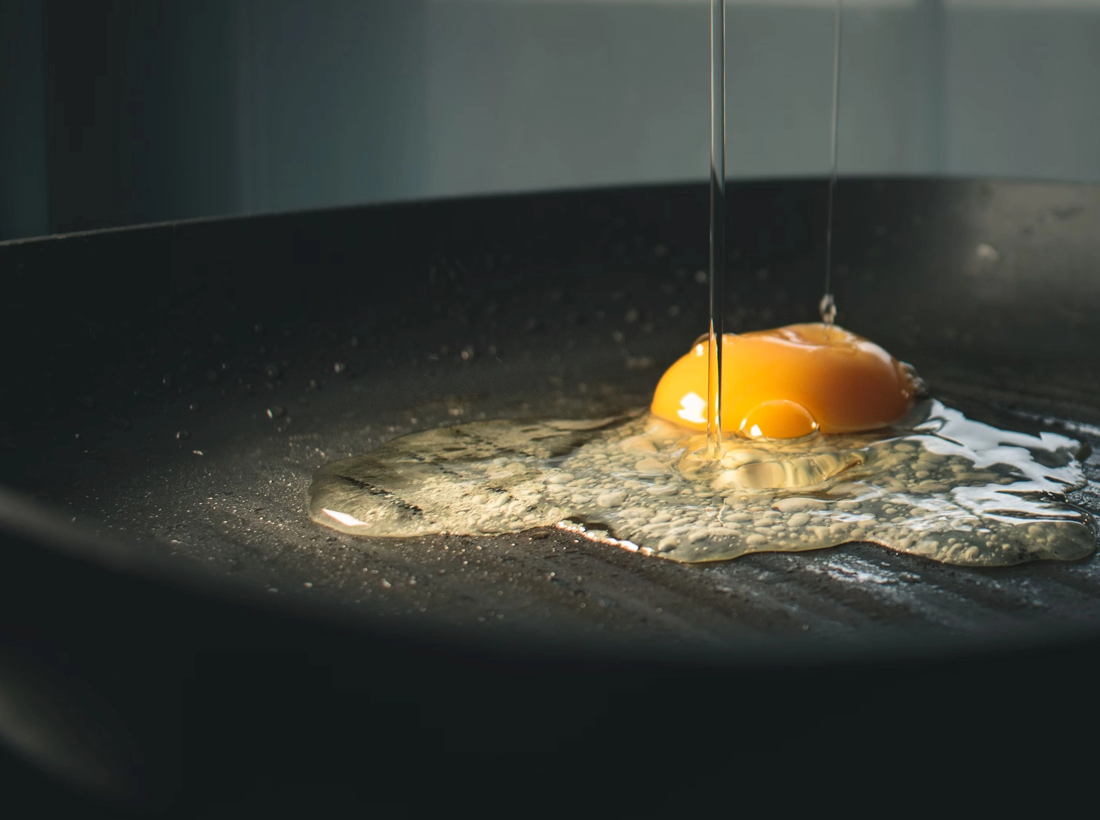 아보카도오일 보관법