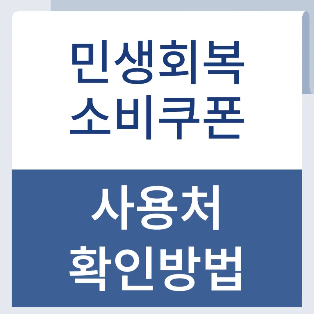 민생회복 소비쿠폰 사용처 확인방법