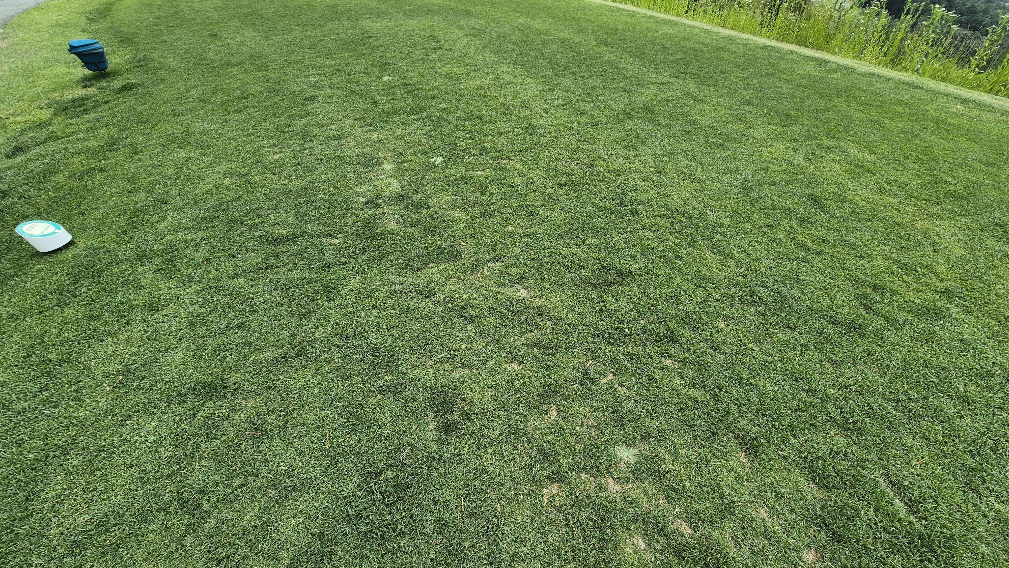 샴발라cc 라운드 후기