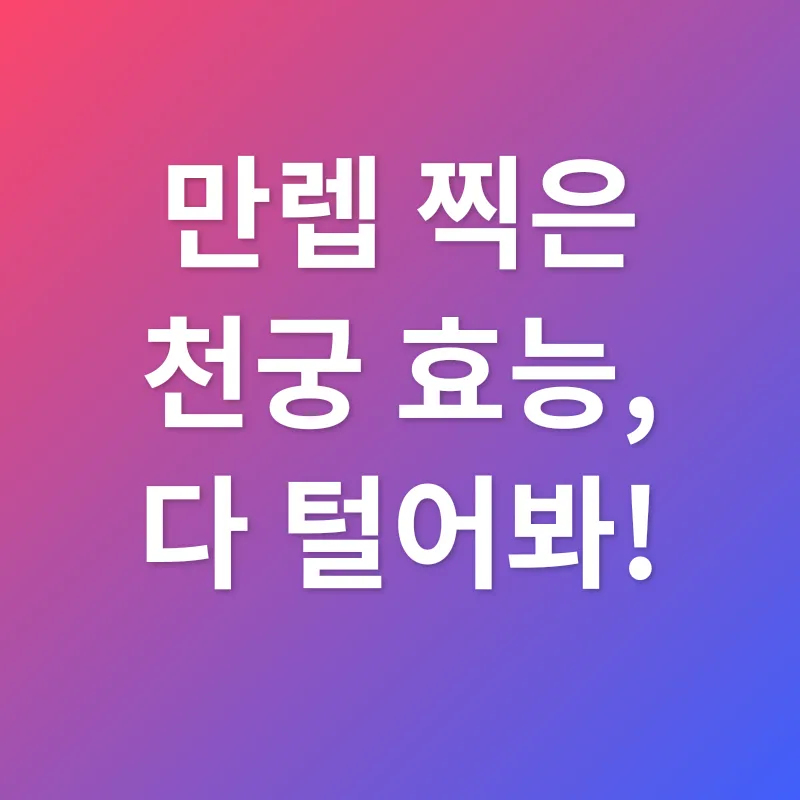 당귀 효능_4