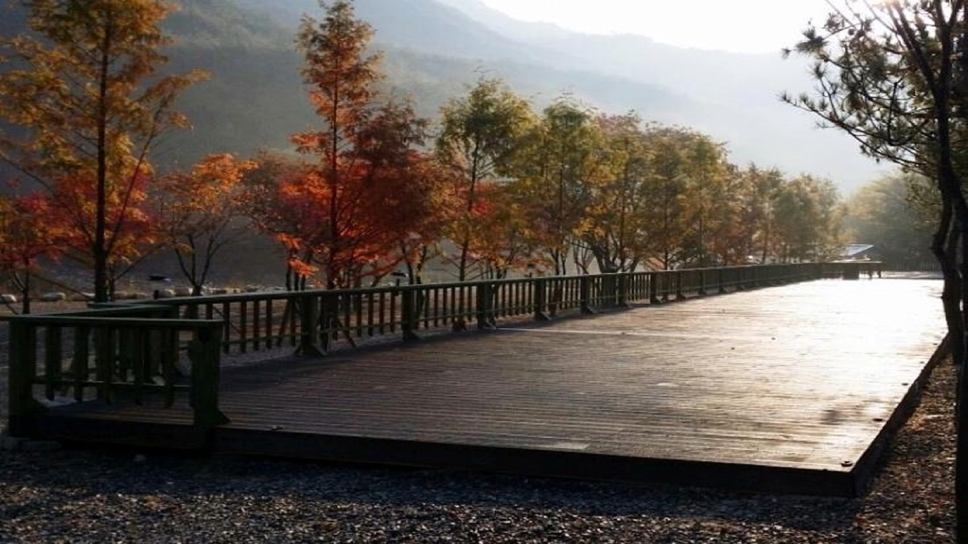 영월군 자연이랑 캠프 예약 바로가기