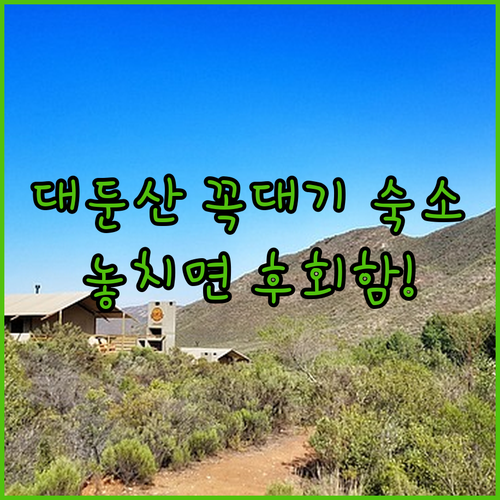 대둔산 여행 갈 때 머물기 좋은 인기..