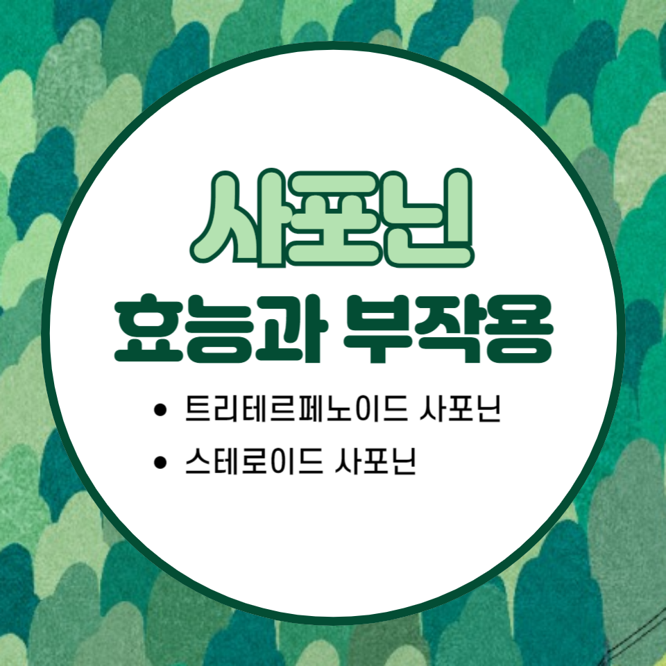 사포닌 효능과 부작용