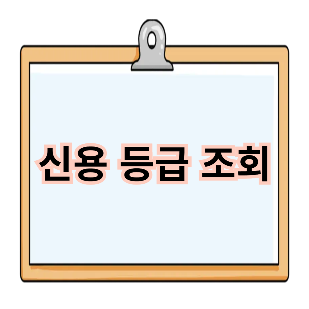 신용 등급 조회