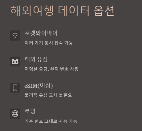 유심, 이심, 로밍, 포켓와이파이 알아보기