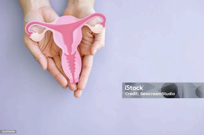 난소암이란? 원인&middot;증상&middot;임상병리 검사를 중심으로 한 진단 가이드
