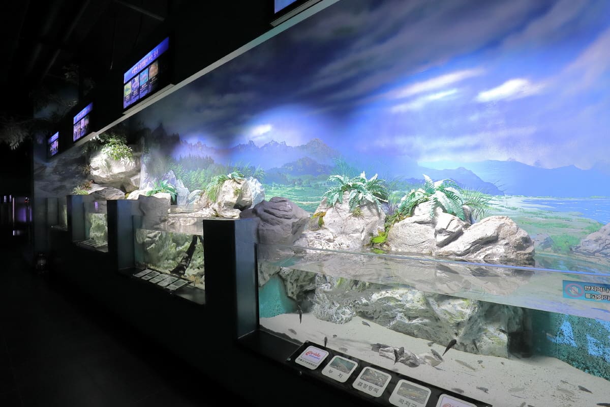 민물고기생태체험관