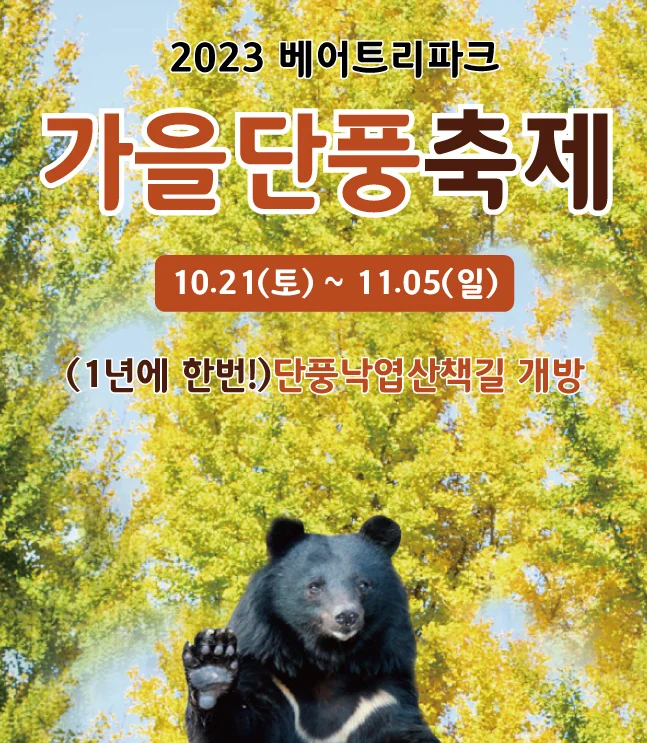 2023 가을꽃 단풍축제, 베어트리파크 단풍축제