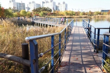 가을 감성 폭발! 인천&middot;부천 단풍 포토존 &amp; 인생샷 명소 추천