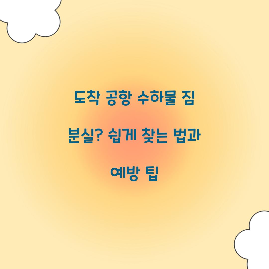도착 공항 수하물 짐 분실
