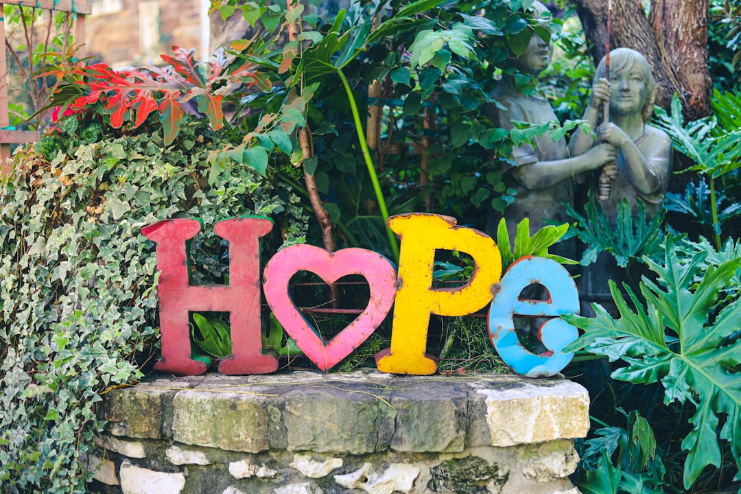 Hope Savings Account