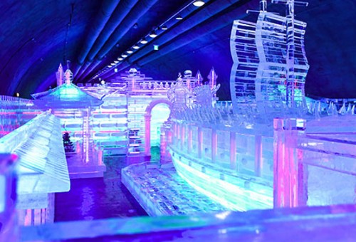 화천 산천어축제 예약