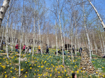 화담숲예약하기