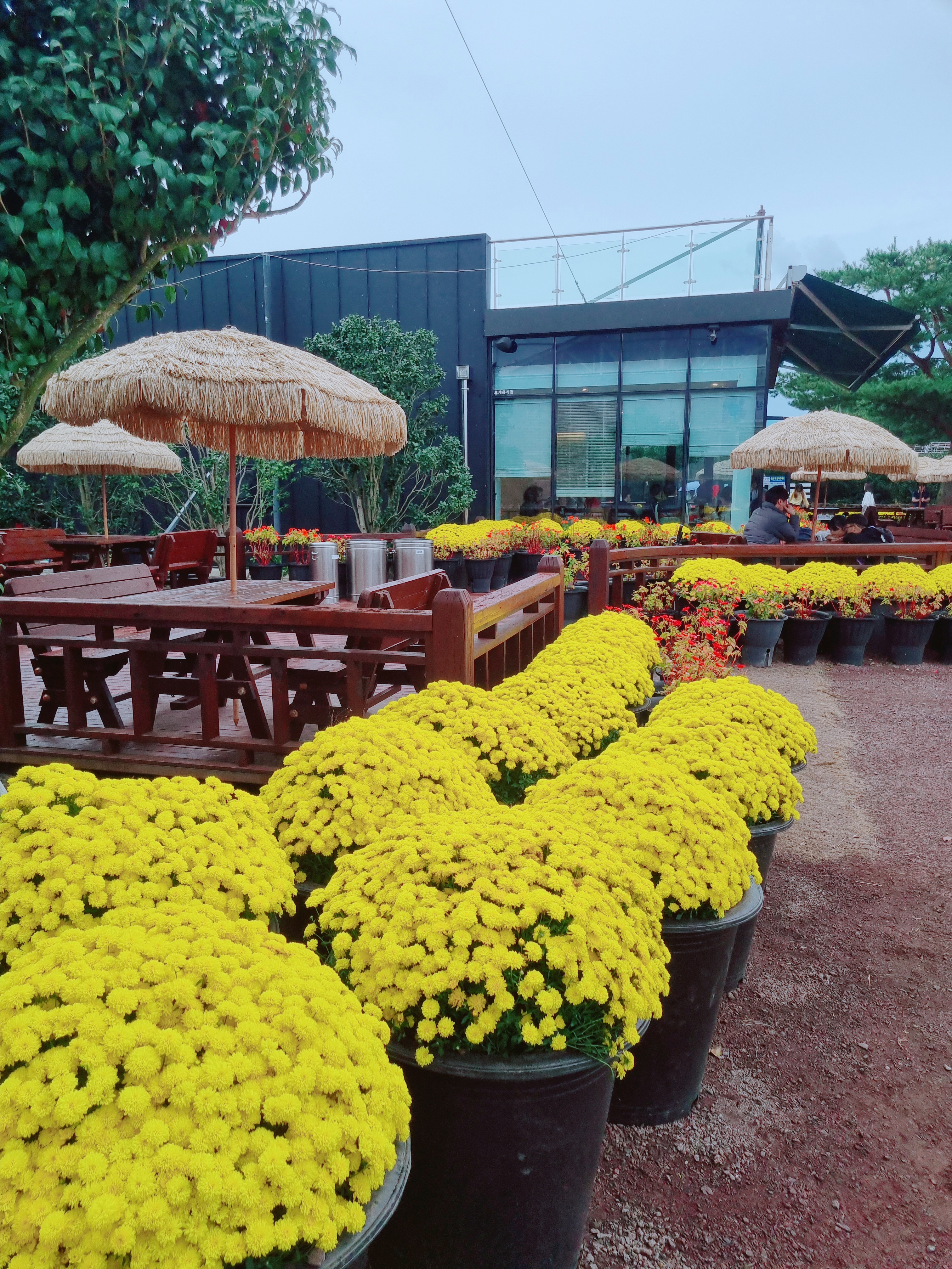 휴애리 자연생활공원