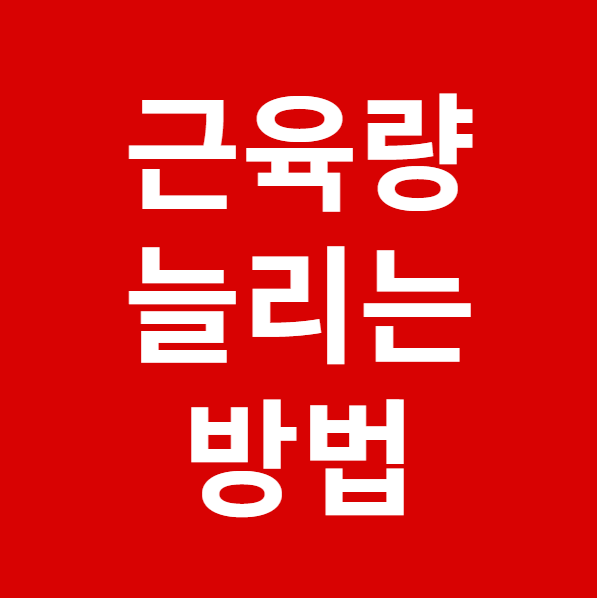 근육량 늘리는 방법