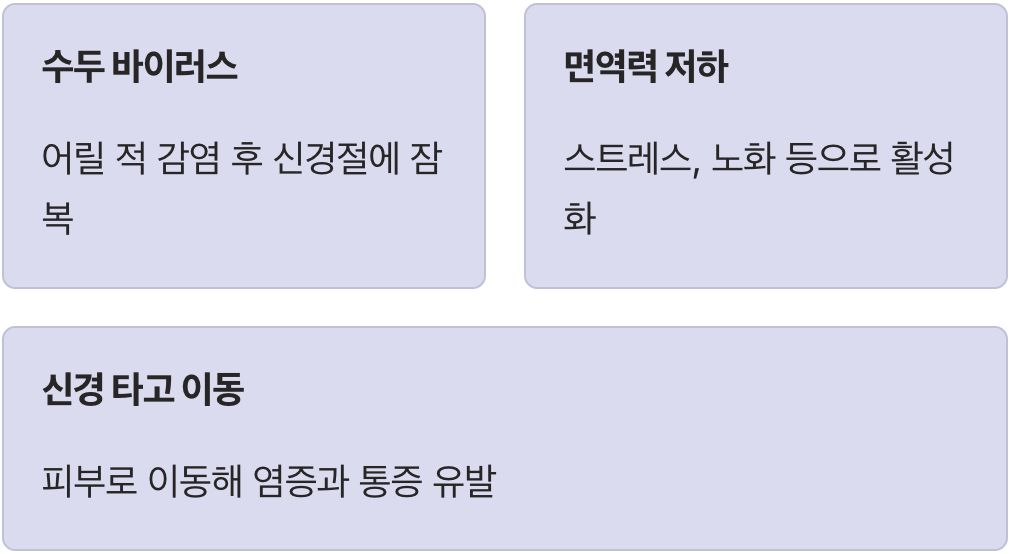 우리 몸속에 숨어있던 스파이