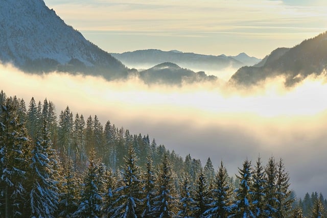 명언, 오프라 윈프리