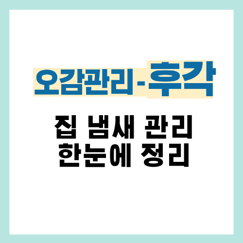 0편. 집 냄새 관리 한눈에 정리｜오감&ndash;후각관리 전체 가이드