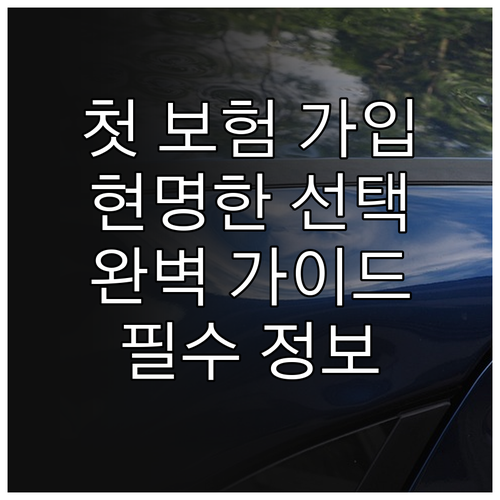 첫 보험 가입자를 위한 완벽 가이드 