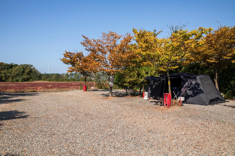인천 옹진군 선재오토캠핑장 소개