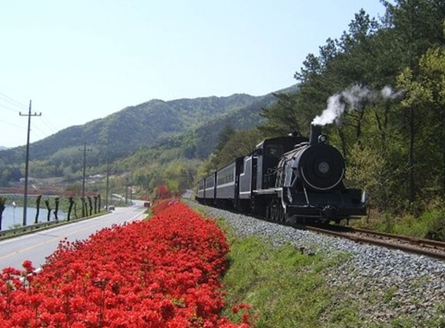 봄꽃구경 가볼만한 곳