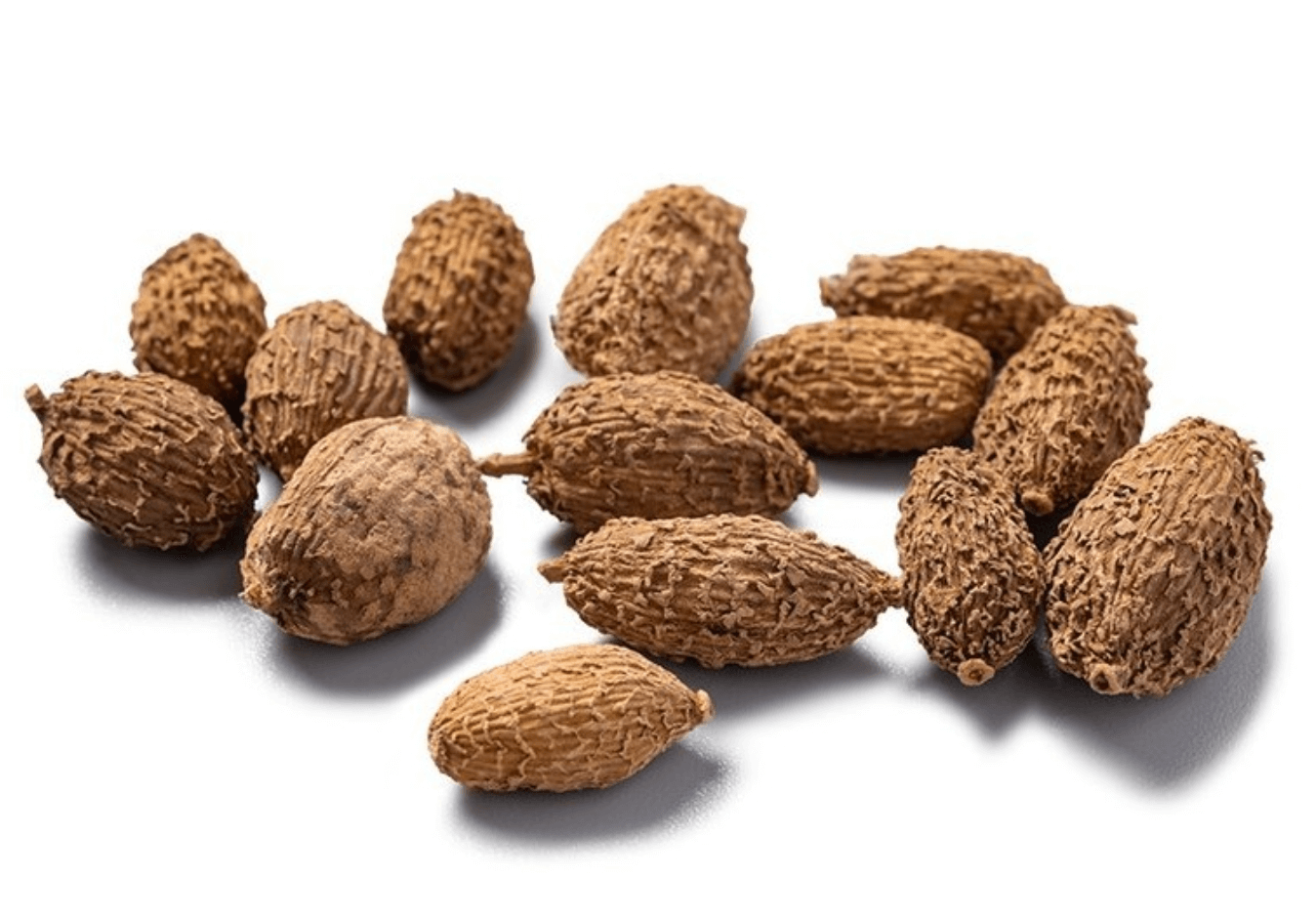 양춘사 추출물 하루 권장량