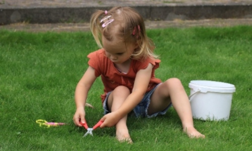 서울시 손주 돌봄수당