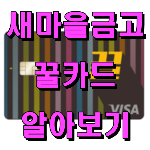 새마을금고_꿀카드
