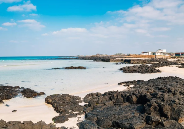 제주시 구좌읍 세화리