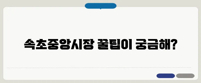 속초중앙시장 방법 헷갈릴 땐 이것