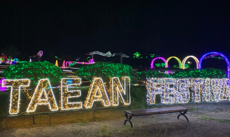 태안 빛축제