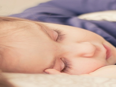 표고버섯 효능 사진20