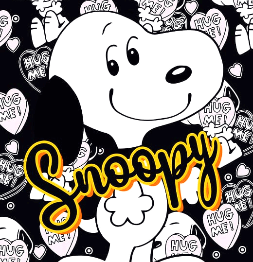 하얀 강아지 스누피가 미소지으며 바라보는 그림이다.