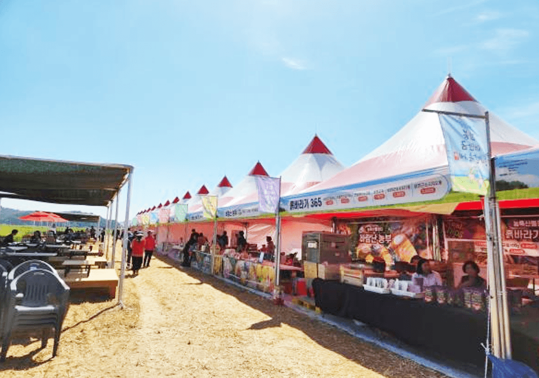 진봉새만금보리밭축제 2026 일정