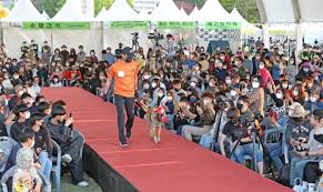 2024 제 39회 의견문화제와 함께하는 임실 N펫스타 기본일정과 특징 소개 이찬원 장민호 양지원 황윤성 오로라 송대관 출연